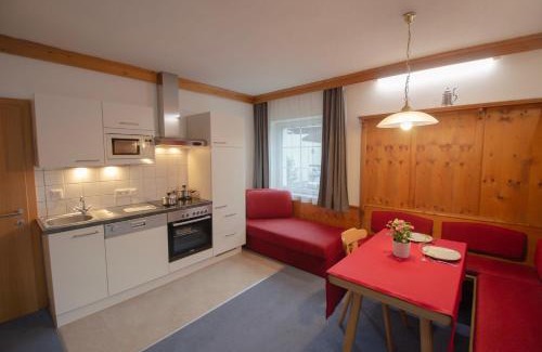 Bad Hofgastein Apartment | Villa Laner