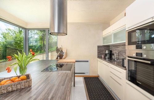 Brkac House | Villa Le Grand Cru (V0472-K1) - Motovun