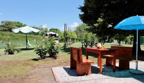 Fossanova San Marco Apartment | Villa Lilli 3