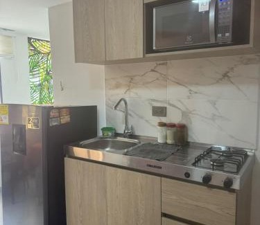 Buenos Aires Apartment | Villa Loreto Aparta estudio 201