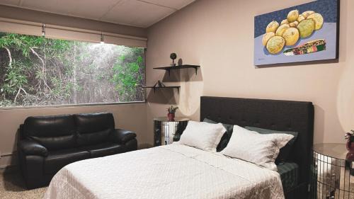 Tumba Vieja Apartment | Villa Magnolia