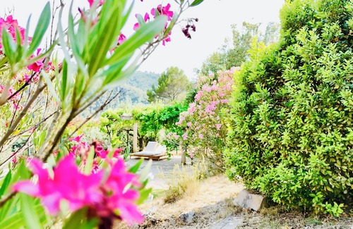 Correns House | Villa Maillard - Swimming pool & vineyard view