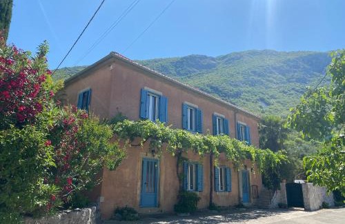 Dubravka Villa | VILLA Mara