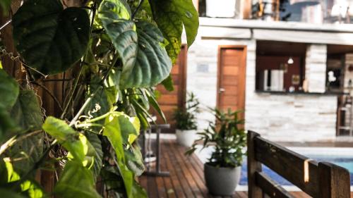 Arraial d'Ajuda House | Villa Maritaca Condomínio de 4 Casas de Locação por Temporada de Alto Padrão com SPA