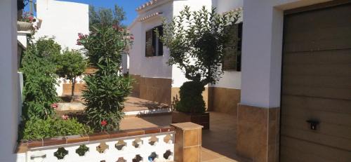 Cala en Porter Villa | Villa Martínez