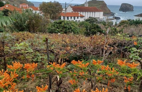 Porto da Cruz Apartment | Villa Matilde e Joaquim