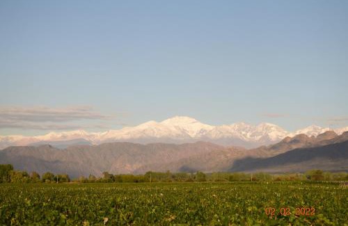 Lujan de Cuyo Bed & Breakfast | Villa Mendotza