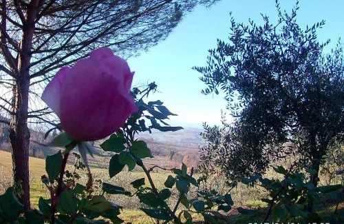 Spoleto Apartment | Villa Milù