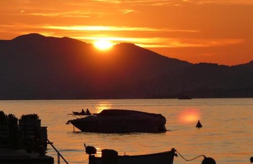 Tivat Apartment | Villa Milovic, 3 appartements les pieds dans l'eau!