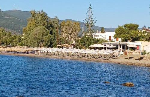Poros Apartment | Villa Mimosa Poros Beachfront Apartment