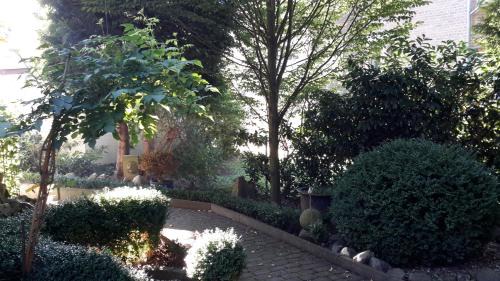 Bad Pyrmont Apartment | Villa Mondry