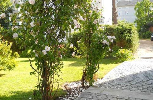 Sassnitz Apartment | Villa Monique in Alt-Sassnitz