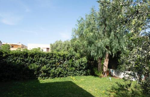 San Vito Lo Capo Villa | Villa Morici con ampio giardino