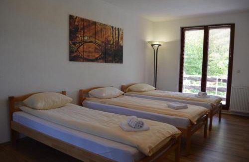 Mali Radic Villa | Villa My Island