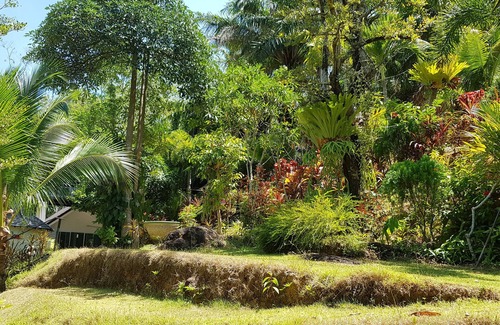 Chalong Villa | Villa Nap Dau 10 Bedrooms