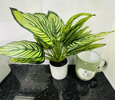 Phan Thiet Apartment | Villa Ngọc Châu Phan Thiết Chi Nhánh 3