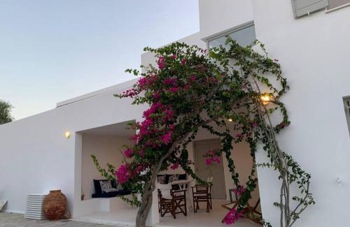 Soros Villa | VILLA NOSTOS ANTIPAROS