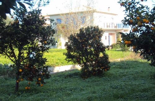 Pylos-Nestoras Apartment | Villa Nostos
