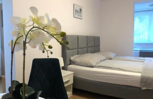 Polanica-Zdroj House | Villa Ola