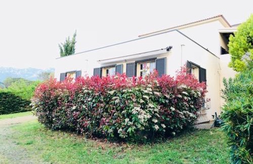 Oletta House | Villa Oliera