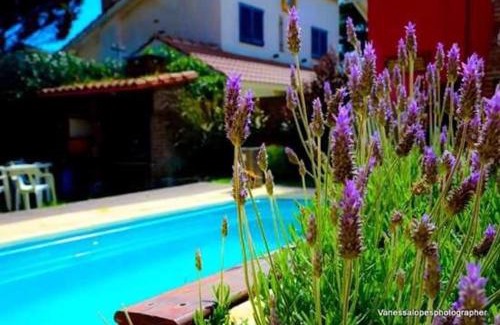 Villa Gesell Hotel | Villa Olimpia Cabañas