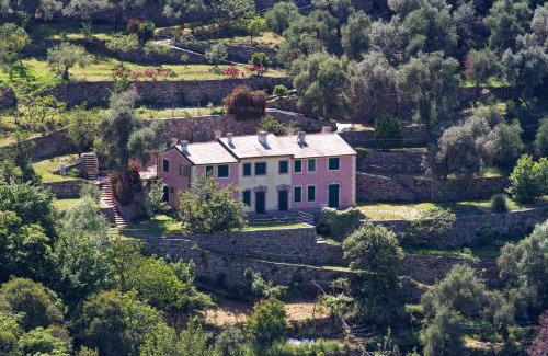 San Rocco Apartment | Villa Olivari - apt il Cedro