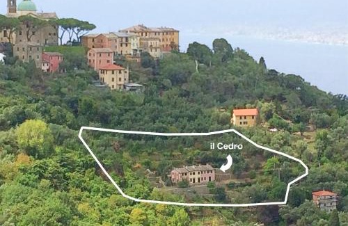 San Rocco Apartment | Villa Olivari - apt il Cedro