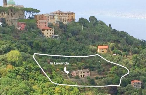San Rocco Apartment | Villa Olivari - apt la Lavanda
