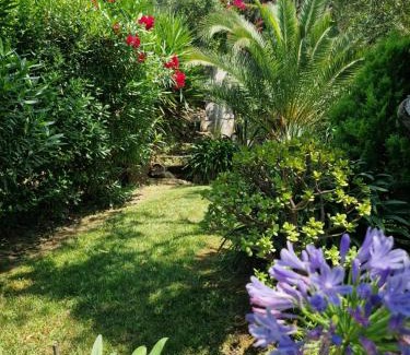 Pentati Apartment | Villa Olivia