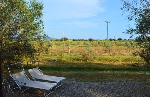 Piombino Bed & Breakfast | Villa Orta - Agriturismo con cucina Vegan, Plant-based Farmhouse