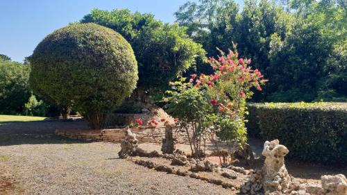 Tripalle Villa | Villa Ott
