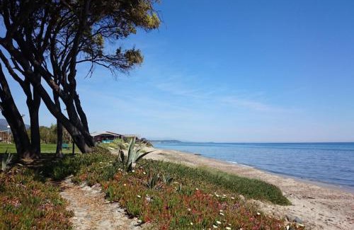 Prunete Villa | Villa Paesolu