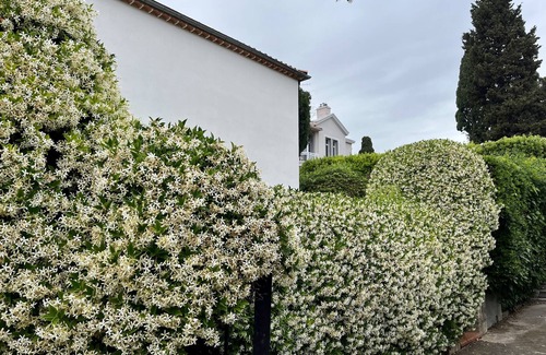 California - Pezou Villa | VILLA PALMIERS BY ESTATES CANNES