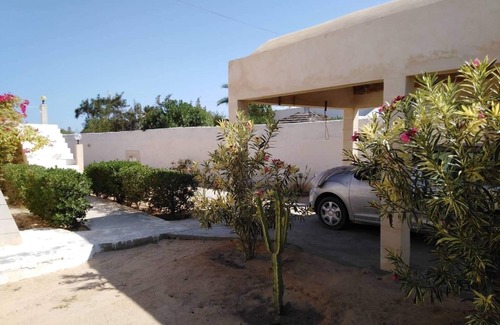 Midoun Villa | Villa Palms Blu Djerba