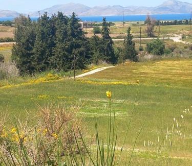 Kos Villa | Villa Panoramica