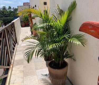 Centro House | Villa Peixe Na Telha