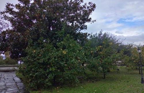 Castellammare di Stabia Apartment | Villa Pellicano -Il nido