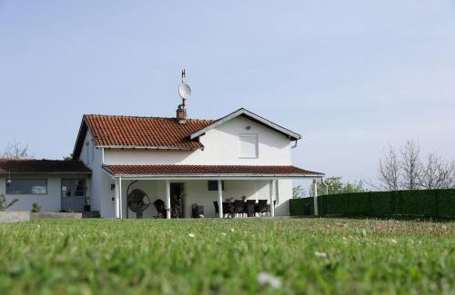 Despotovac House | Villa Perla