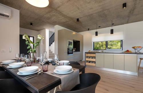 Farini Villa | Villa Perlin in Visnjan