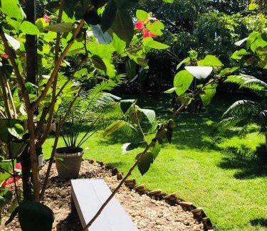 Barra Grande House | Villa Piauí