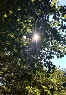 Vico Equense House | Villa Pina