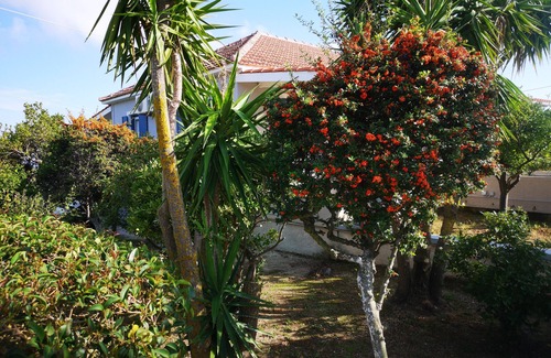 Kaligata Villa | Villa Primarosa