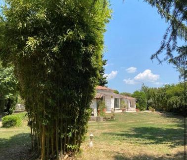 Fontvieille Villa | Villa provençale avec piscine