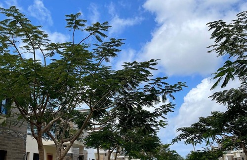 Veron House | Villa Punta Cana secure residence with swimming pool