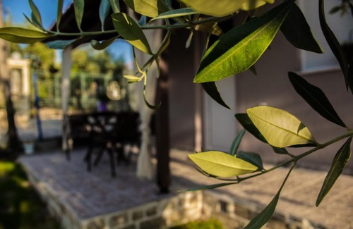 Megalos Prinos Apartment | VILLA RONA