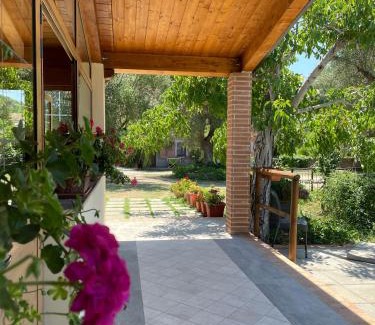 Palinuro Bed & Breakfast | Villa Rosada