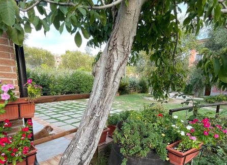 Palinuro Bed & Breakfast | Villa Rosada