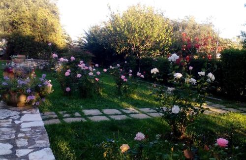 Afra Apartment | Villa Rose Garden
