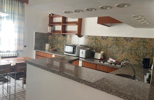 Lierna Apartment | Villa Rosi
