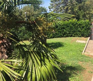 Njivice Apartment | Villa Rudy Holiday Home